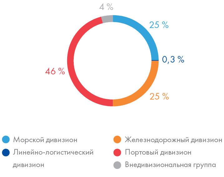 Capex в разбивке по дивизионам за 2019 год (общая сумма – ​3 838 млн руб.), %